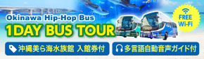 1day Bus tour